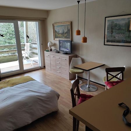 Residence Le Faucon - Col Du Donon Grandfontaine  ภายนอก รูปภาพ