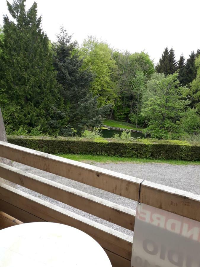 Residence Le Faucon - Col Du Donon Grandfontaine  ภายนอก รูปภาพ